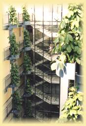 Im Apartmenthaus Meeresblick
